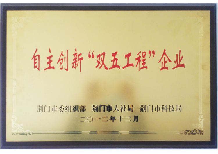 自主創(chuàng  )新雙五工程企業(yè).jpg